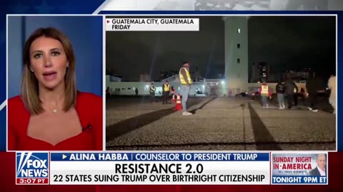 Alina Habba: "Democrats are not acting like Americans."