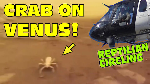 Reptilian Police Circling and Crab on Venus!