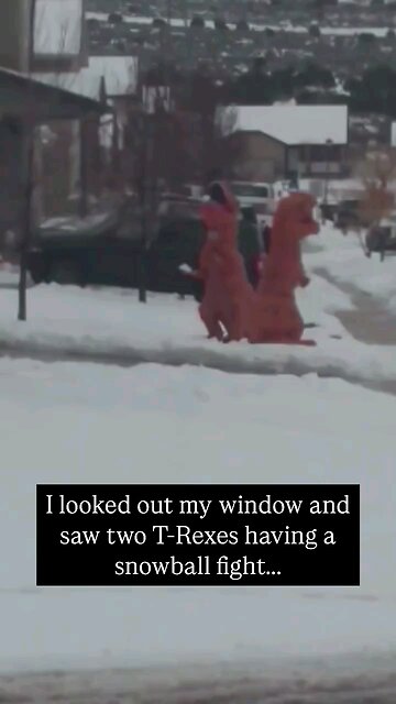 This Would Be Funny And Fun