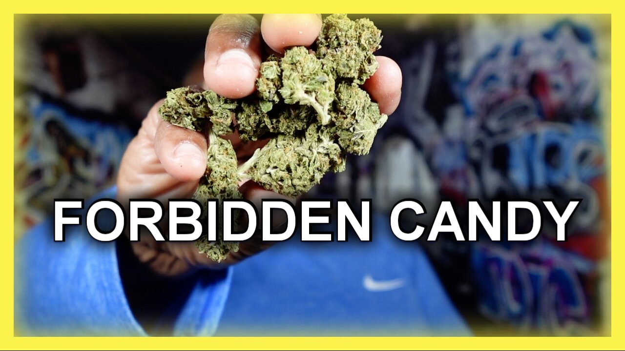 Forbidden Candy THCA | DR GANJA