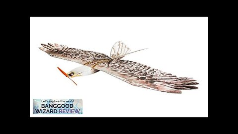 Dancing Wings Hobby E15 Biomimetic Mini Eagle 1200mm Wingspan EPP Foam RC Review