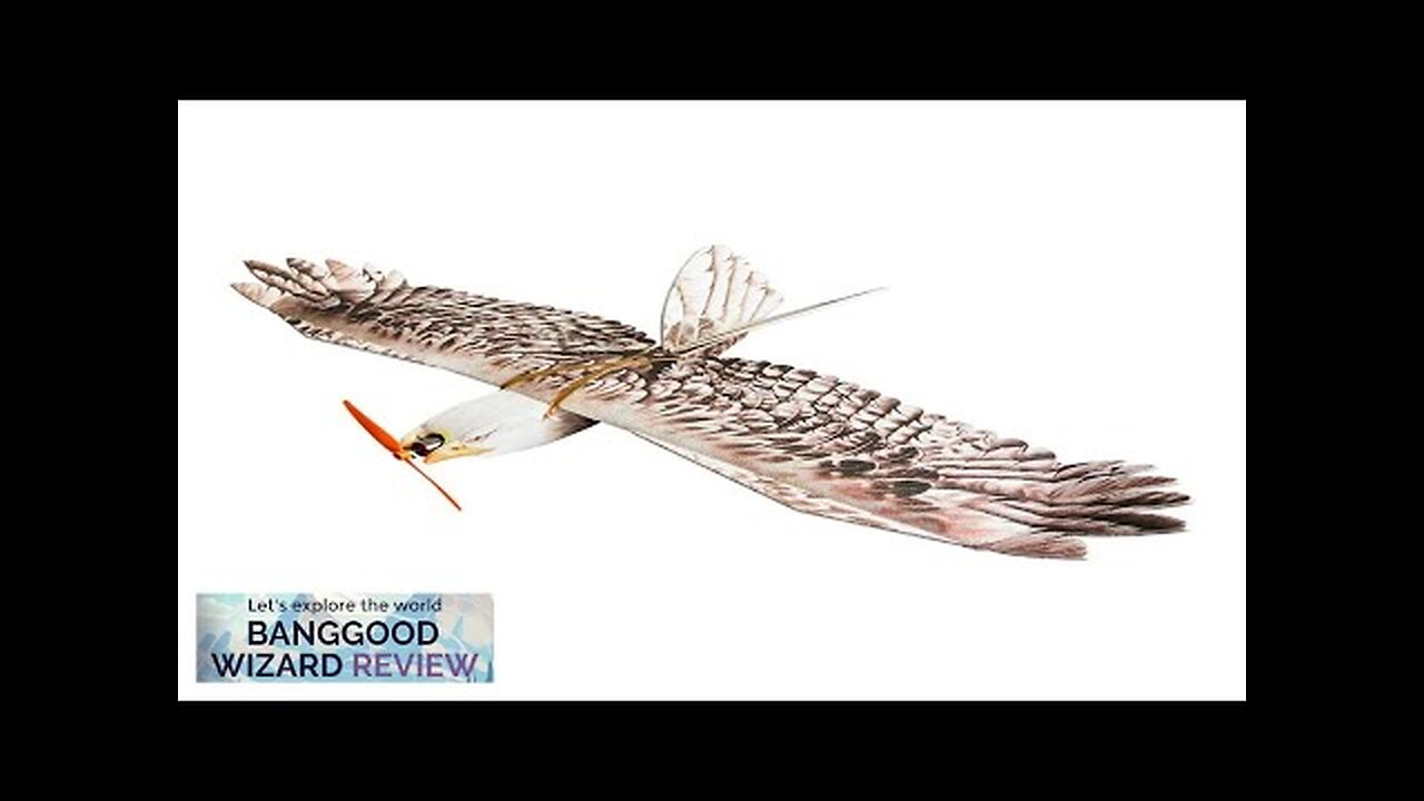 Dancing Wings Hobby E15 Biomimetic Mini Eagle 1200mm Wingspan EPP Foam RC Review