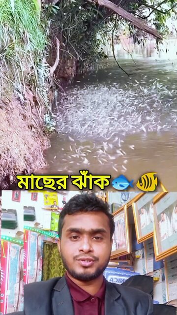 মাছের ঝাঁক 🐠🐟💯 #reels #viral #fish #Amazing #funny #saggestforyou