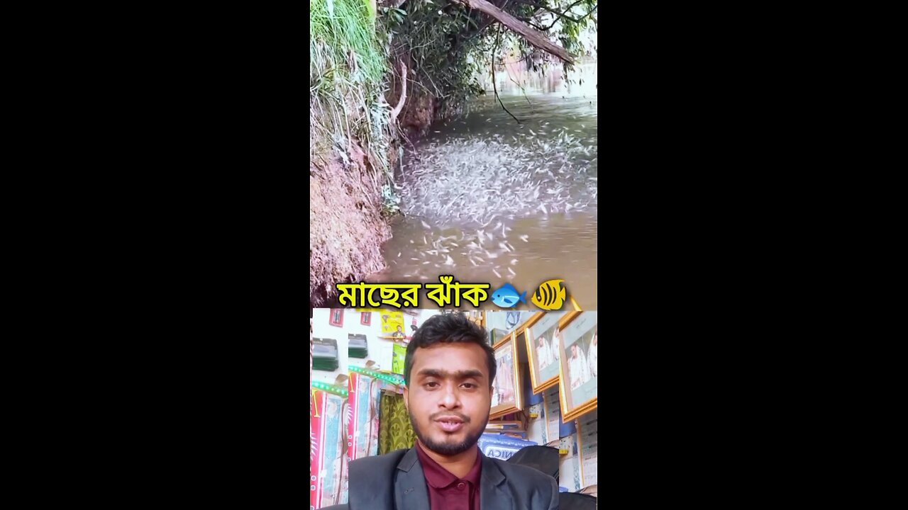 মাছের ঝাঁক 🐠🐟💯 #reels #viral #fish #Amazing #funny #saggestforyou