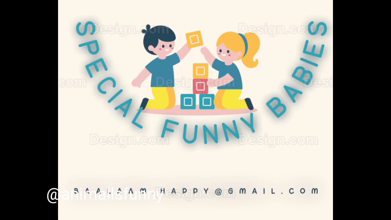 @animallsfunny