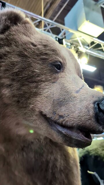 Next-Level Taxidermy? Artistic Visions Delivers!