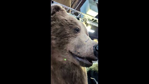 Next-Level Taxidermy? Artistic Visions Delivers!