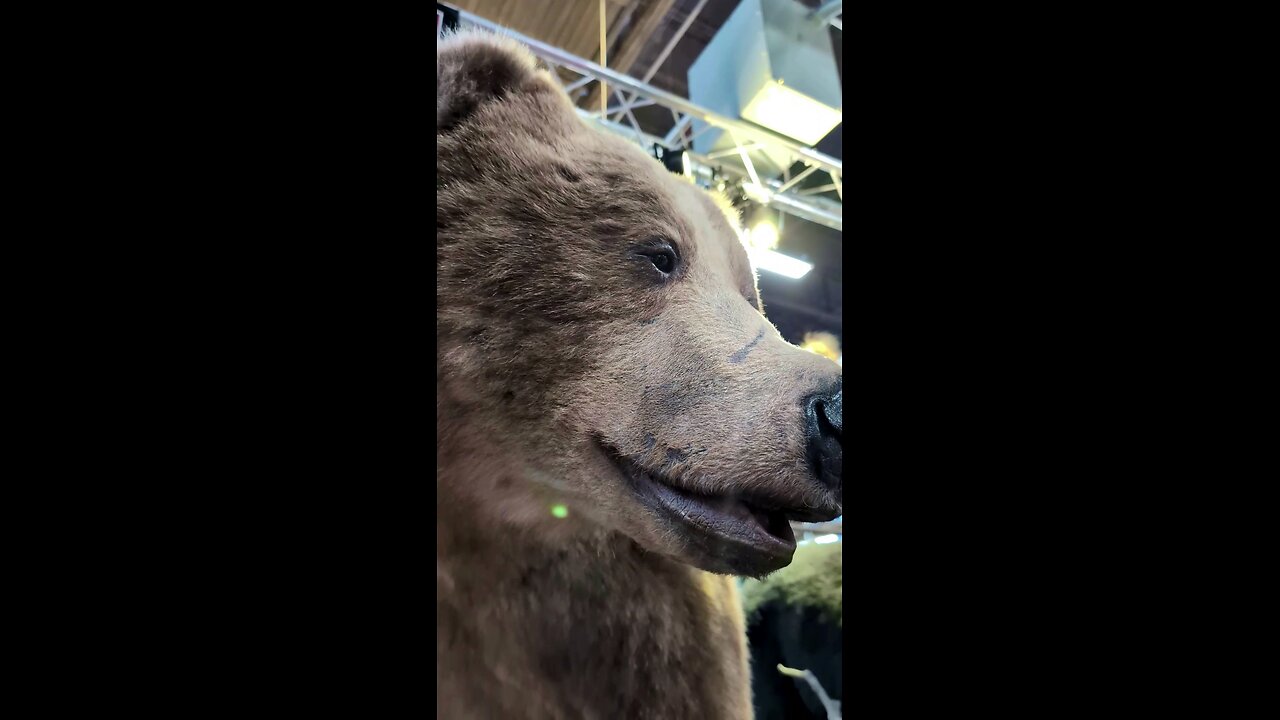 Next-Level Taxidermy? Artistic Visions Delivers!