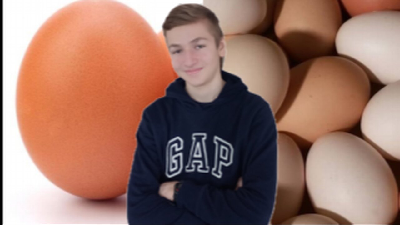How to Optimize Your Egg Production - Homesteading Journey