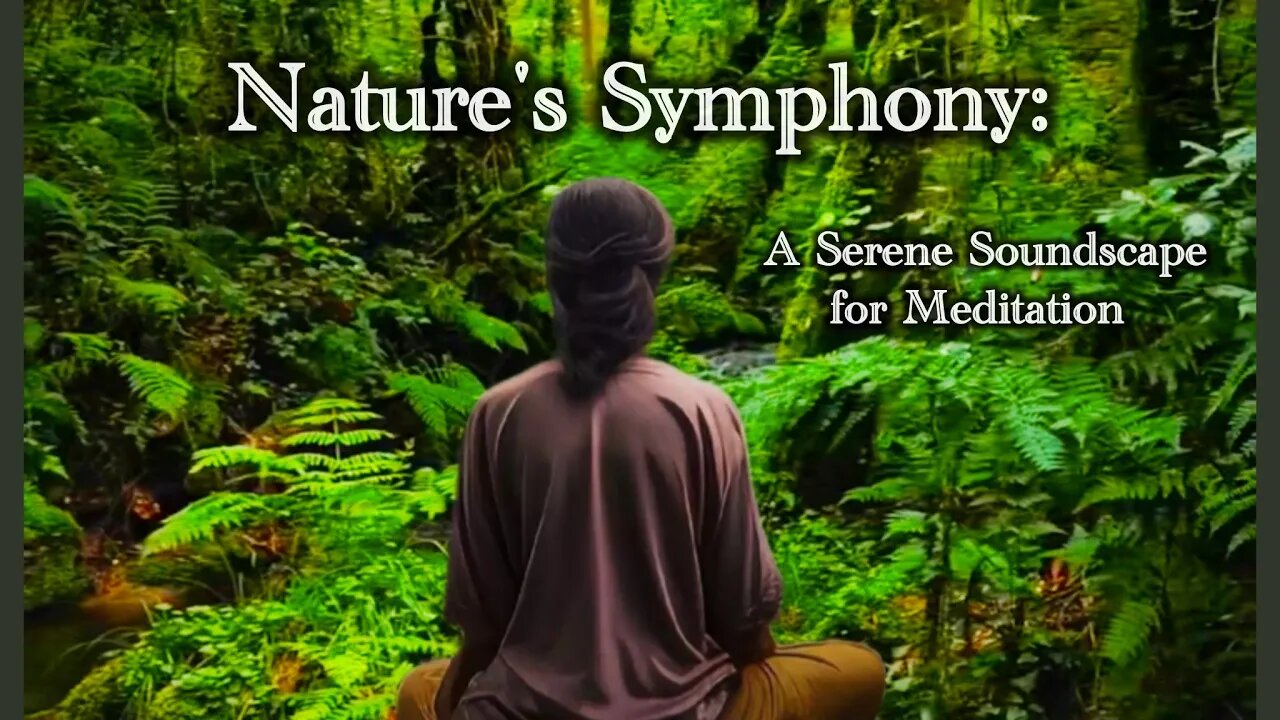 Nature's Symphony - A Serene Soundscape for Meditation / / Listen to Nature's Rhythm -4k video