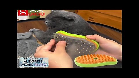 Cat Steam Brush Electric Spray Water Spray Kitten Pet Comb Soft Silicone Review