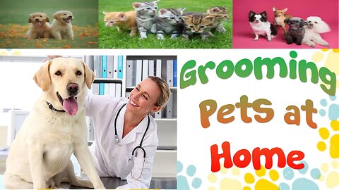 Tips For Grooming Pets at Home