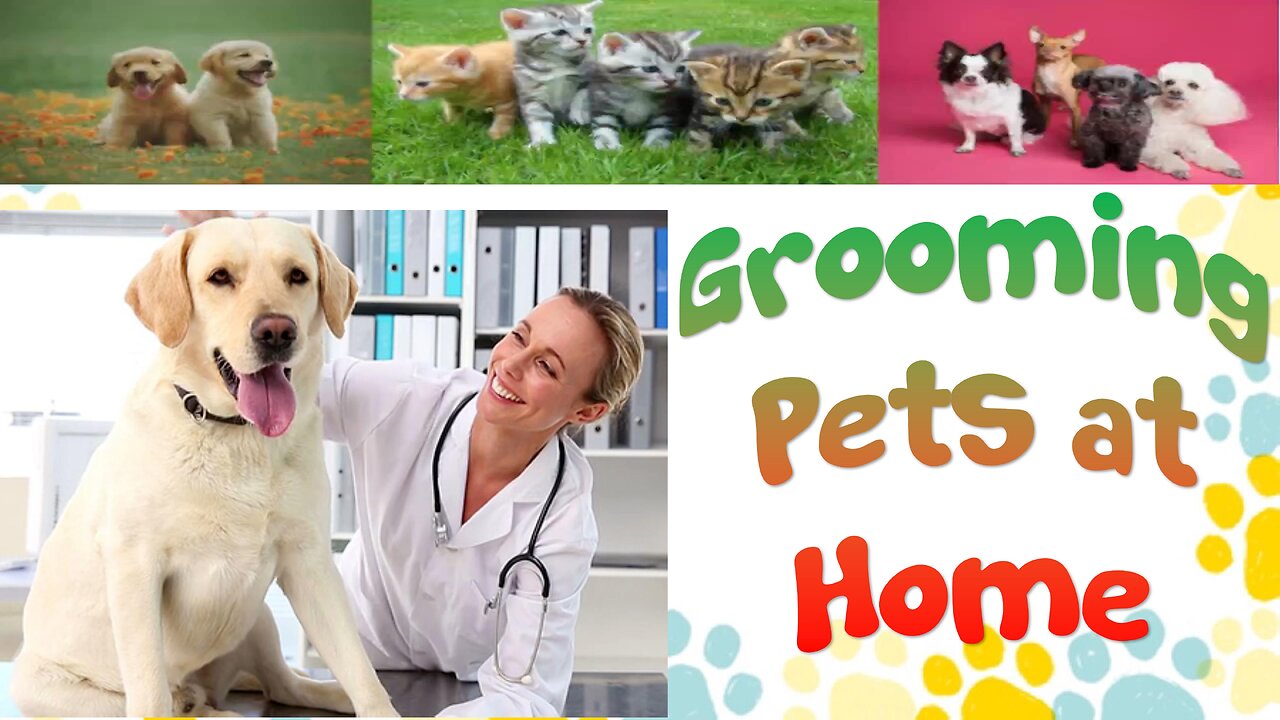 Tips For Grooming Pets at Home