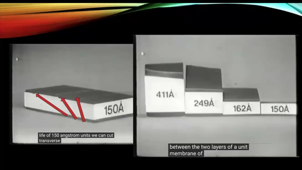 The Medical Rebel - The Flying Unicorn - Part 4 - Electron vs Light Microscopy and Viral Theory