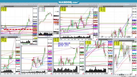 Cattle Jan4 All time highs begins 2025, but