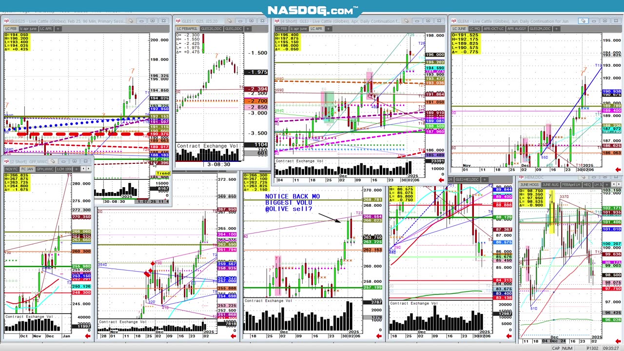 Cattle Jan4 All time highs begins 2025, but