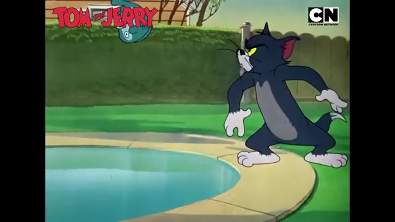 The Funniest Tom And Jerry Pranks Ever!