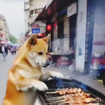 Funny😝 viral🔥 comedy🤣🤣 video