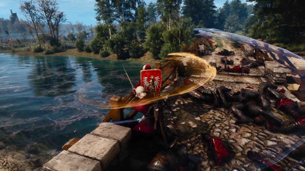 Witcher 3 spinning fight
