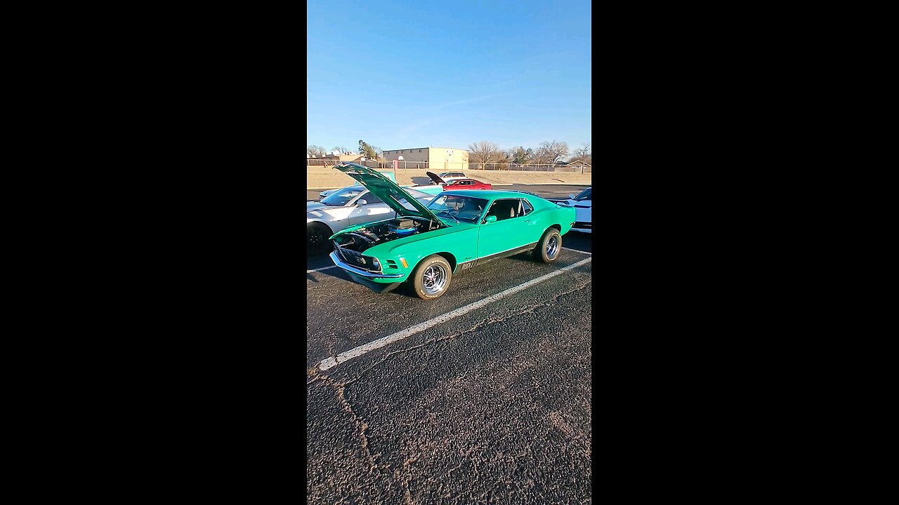 #mach1 #machine #mustang #green #1970 #muscle #car #vintage #carshow