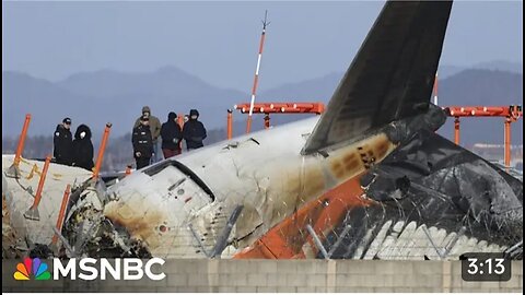 American investigators probe cause of deadly South Korean plane disaster