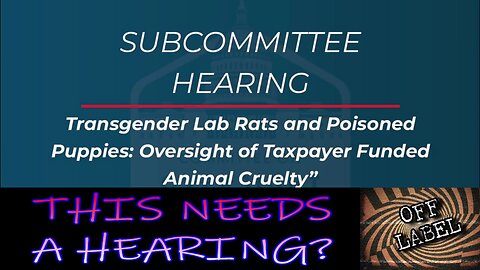 Ready To Hear Stupid Arguments About Lab Rats?