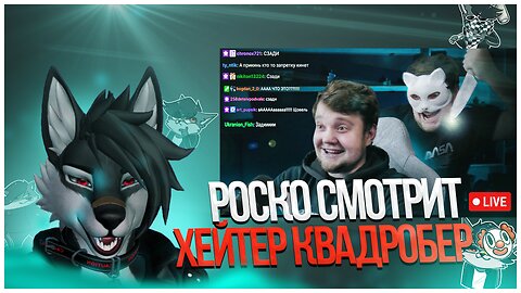 🐺 Роско смотрит OneGo - Разговор с защитником фурри-квадробинга