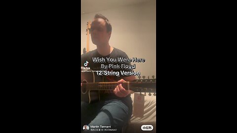 Wish You Were Here By Pink Floyd 12-String Version