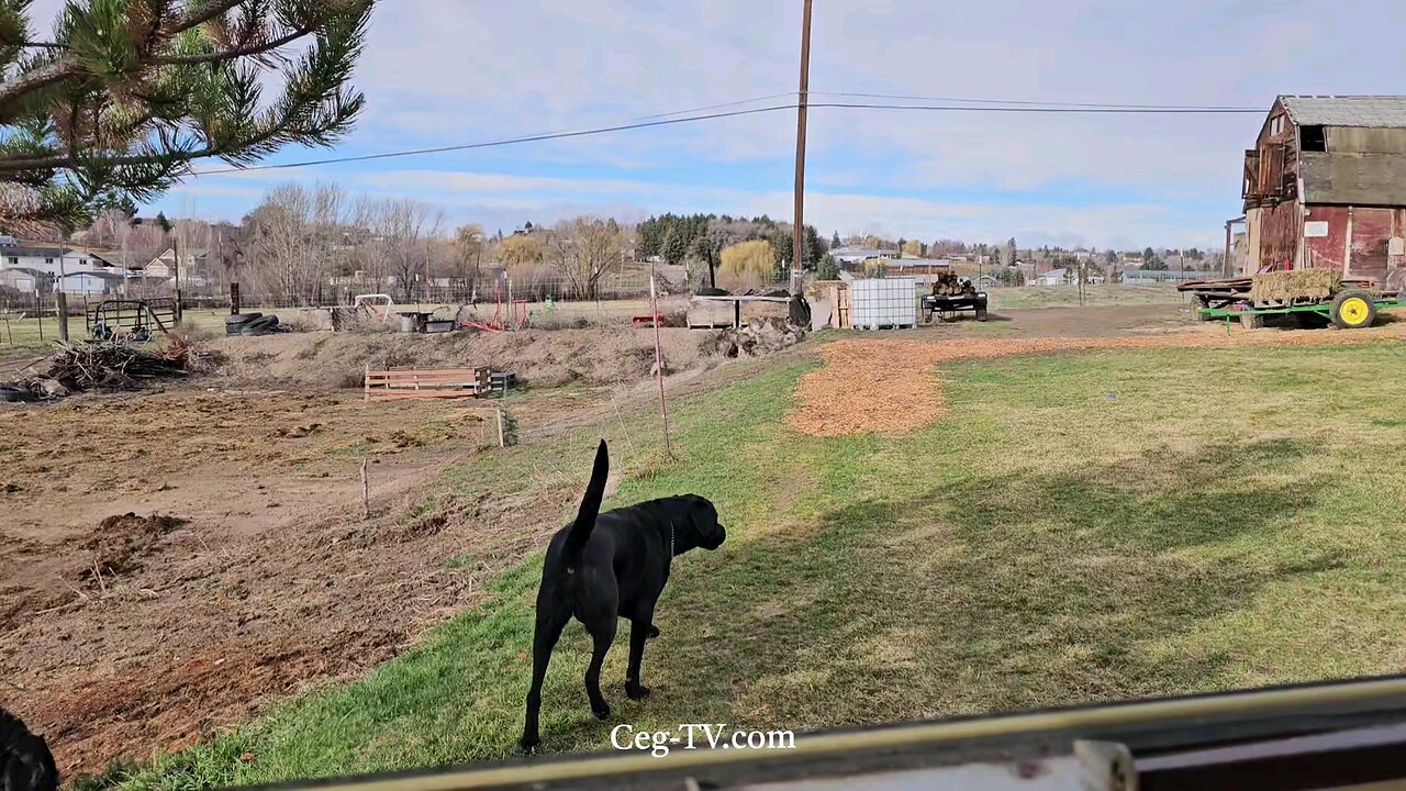 Graham Family Farm: 10:00 AM March 13 2025