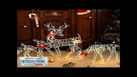 3PCS Handmade Iron Artelk Deer Christmas Garden Decor &LED Light Glowing Glitter Review