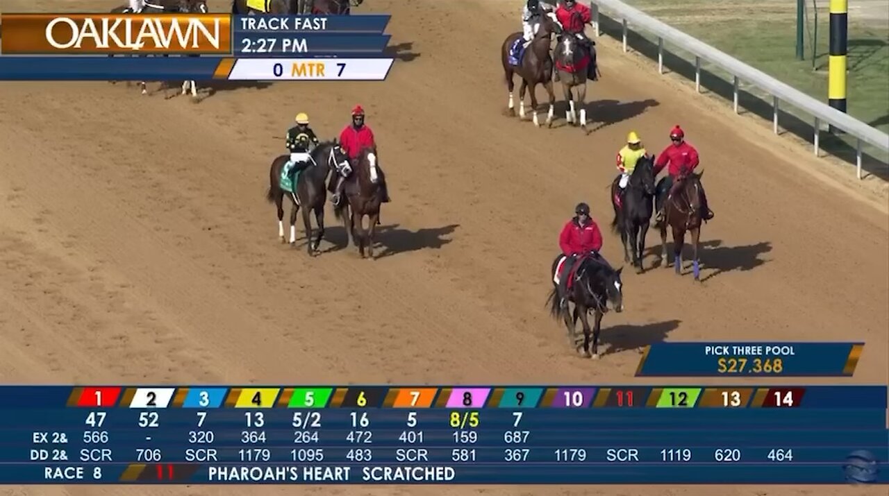 The 2025 Fifth Season Stakes