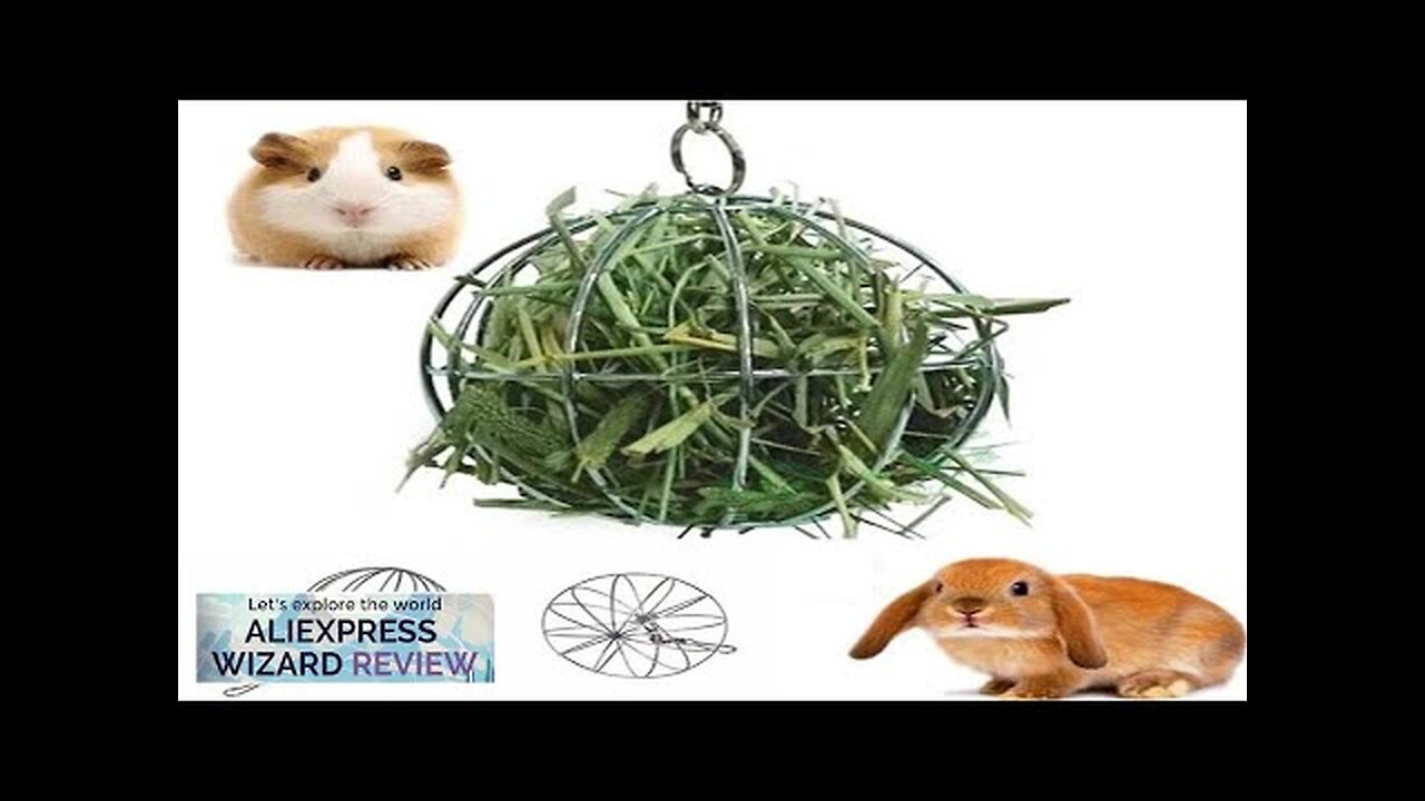 Rabbit Guinea Pig Grass Ball Pet Feeder Multipurpose Hay Ball Hanging Ball Review