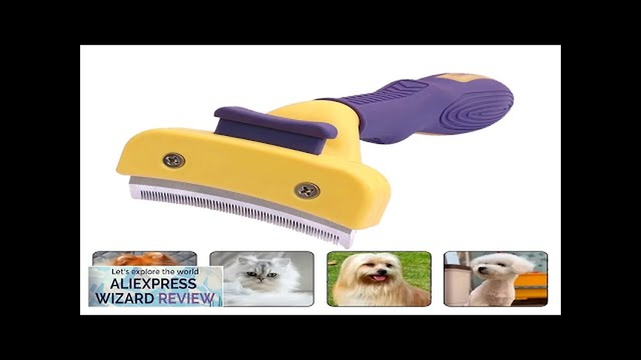 Professional Pet Grooming Brush Gentle Hair Remover for Dogs and Cats Review