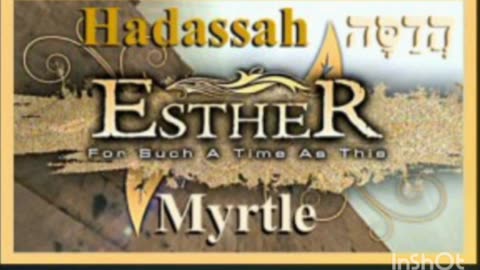 🇮🇱 THE HEBREW MEANING OF HADASSAH, IS MYRTLE TREE..