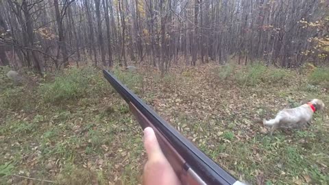 Wisconsin 2021 Grouse Hunting with Lucy Episode 4