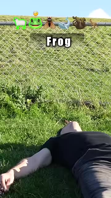 How Animals Get Over a Fence