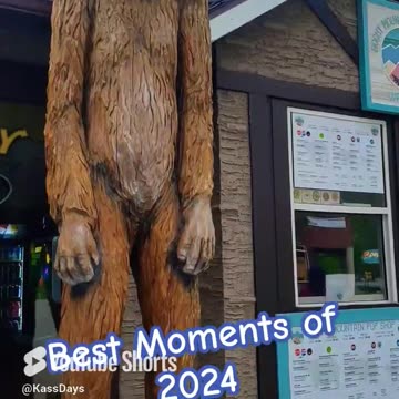 Best Moments of 2024