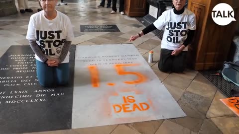 Eco-activists vandalize Charles Darwin's grave in the UK