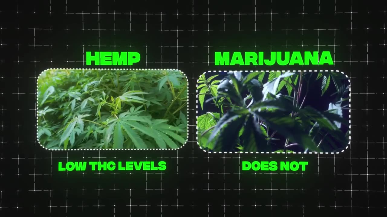 Delta 9 THC Explained: What Is It & How Is It Legal? | 2018 Farm Bill Breakdown