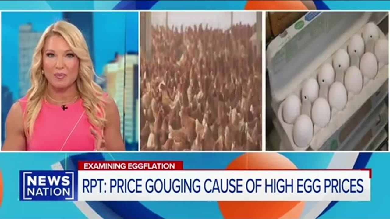 DOJ INVESTIGATING EGG PRICE GOUGING