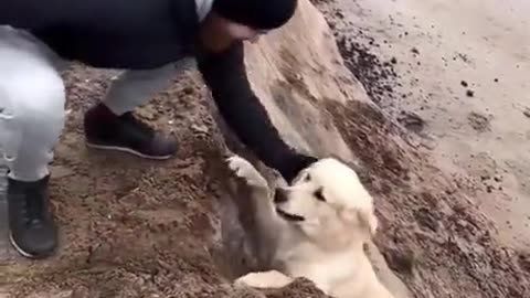Dig thinking,I haven't asked for help😅