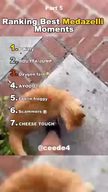 Funniest Medazelli 🤣 | Best Moments (Part 5) | #Ranking #Medazelli #TikTok