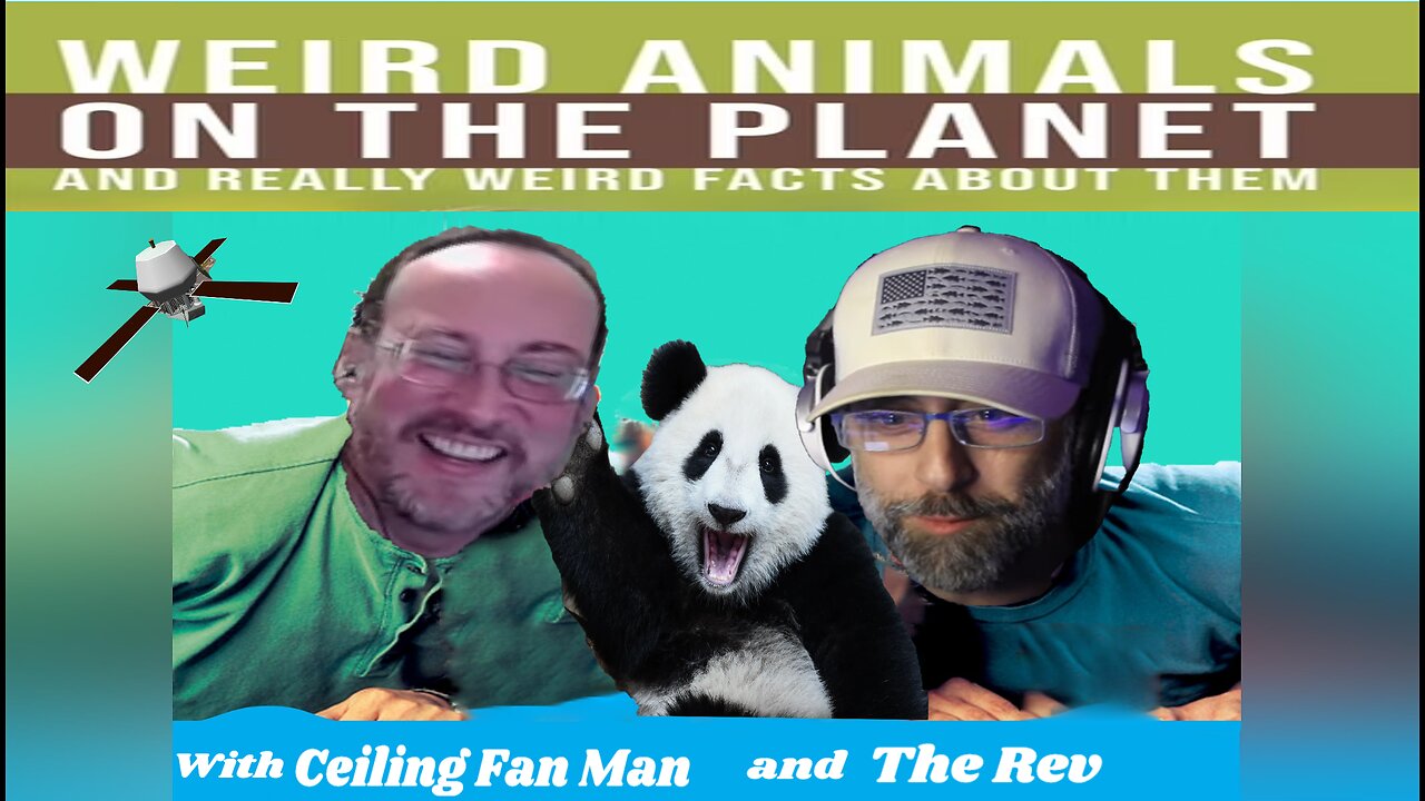 Weird Animals with The Rev
