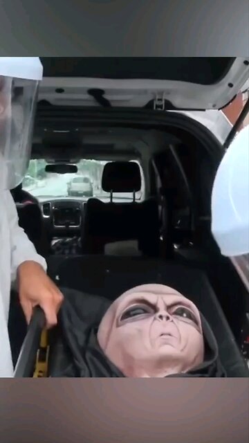 People Will Believe Anything They See! 👀