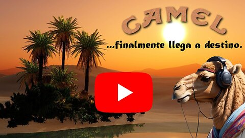 Camel finalmente llega a destino