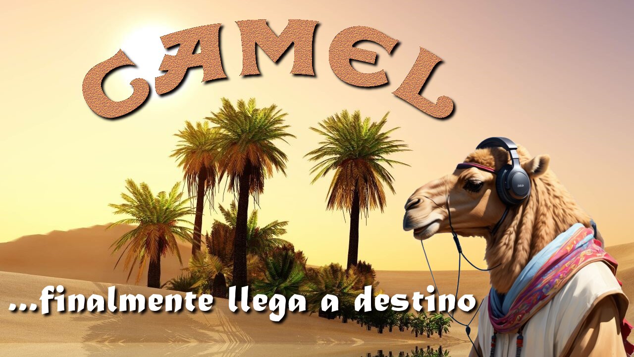 Camel finalmente llega a destino