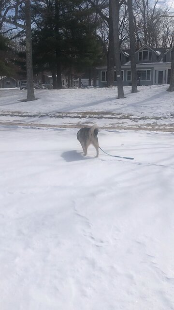 Monday March 3, The kind of fasting I want calls you too….