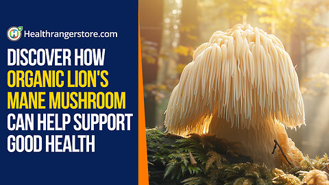 Discover how Organic Lion's Mane Mushroom can help support good health