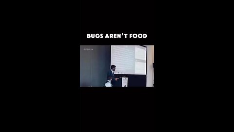 Bugs