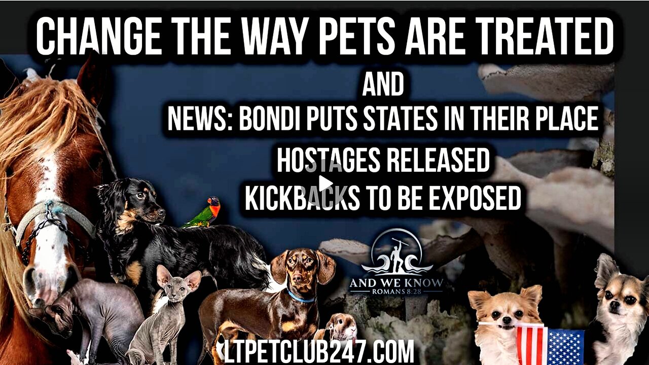 2.13.25: Bondi on the MOVE, Gabbard in, Hostages + amazing interview with LTPetclub on your PETS!